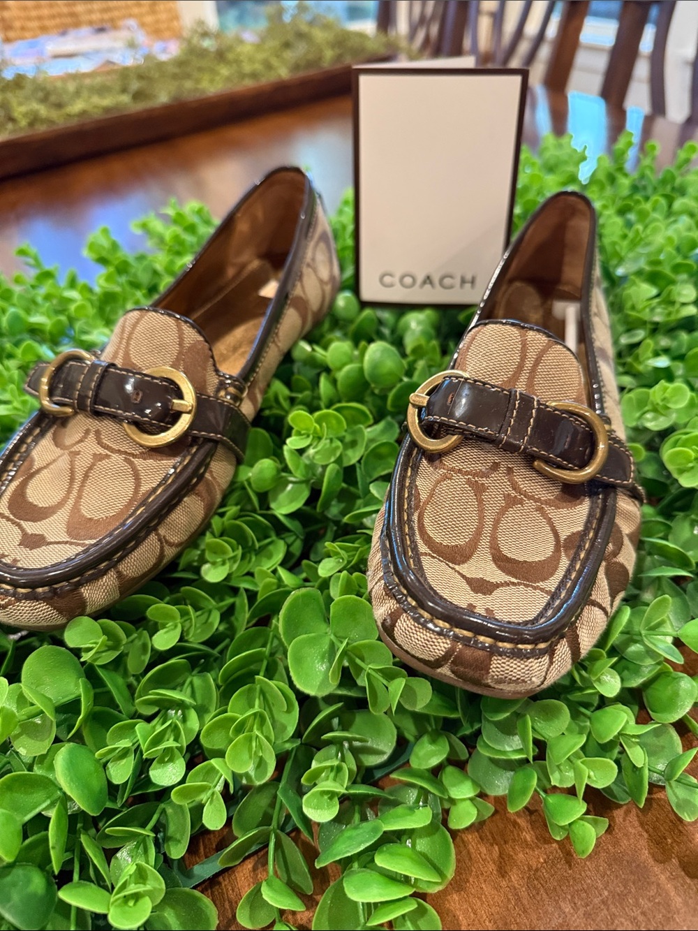 Coach Brown Signature Canvas Loafers with Gold-Tone Buckle